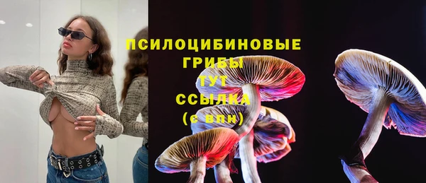 круглые Алексеевка